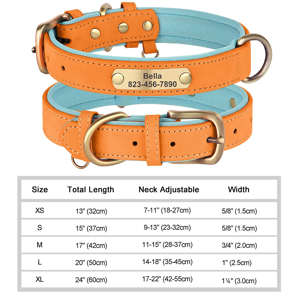 Personalized Leather Dog Collar with Custom Engraved Nameplate - Small, Medium & Large Dogs