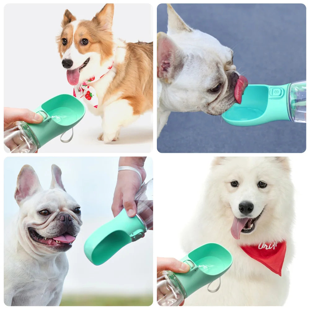 Portable dog water bottle color and size options green gray black