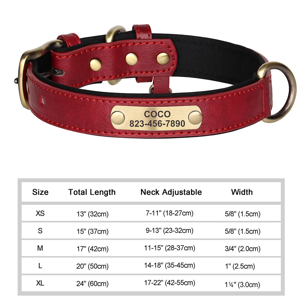 Personalized Leather Dog Collar with Custom Engraved Nameplate - Small, Medium & Large Dogs