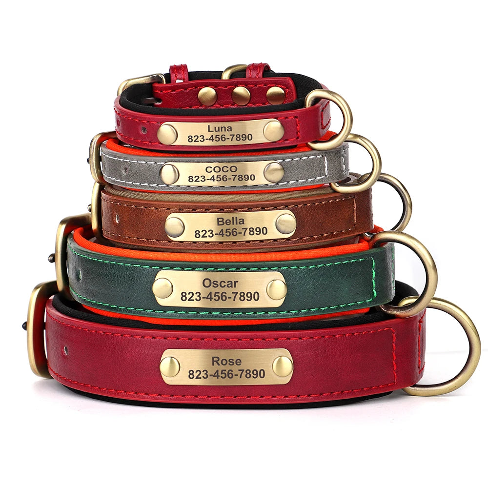 Personalized Leather Dog Collar with Custom Engraved Nameplate - Small, Medium & Large Dogs