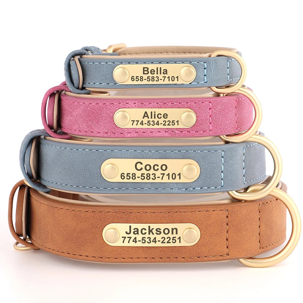 Personalized Leather Dog Collar with Custom Engraved Nameplate - Small, Medium & Large Dogs