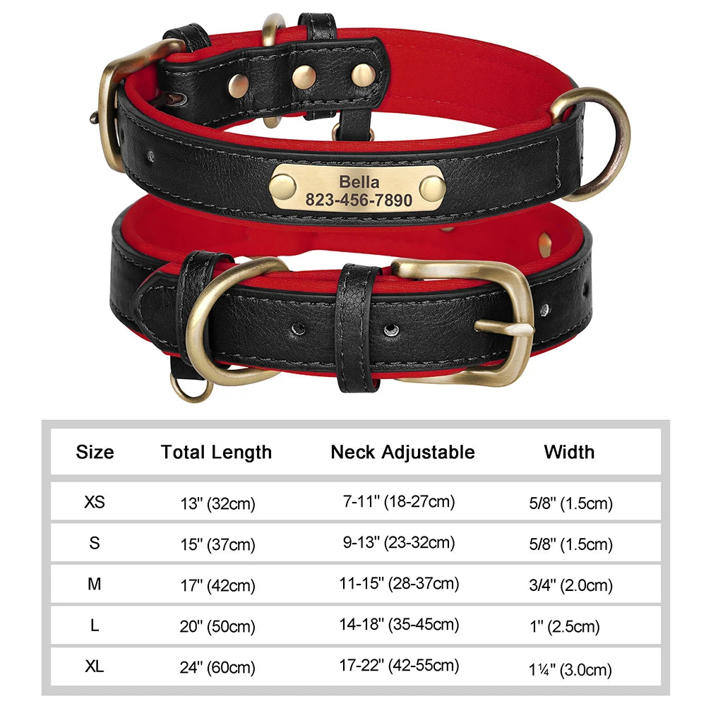Personalized Leather Dog Collar with Custom Engraved Nameplate - Small, Medium & Large Dogs