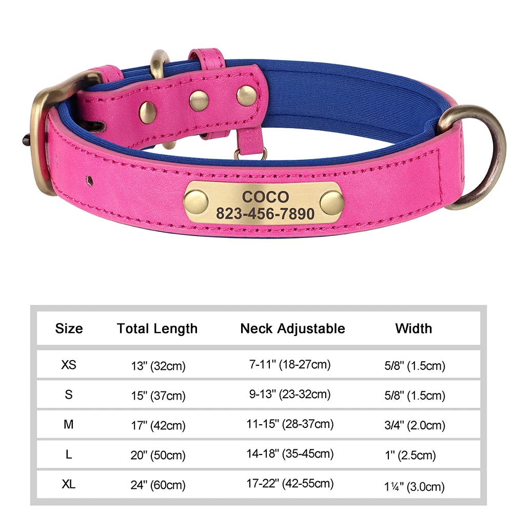 Personalized Leather Dog Collar with Custom Engraved Nameplate - Small, Medium & Large Dogs