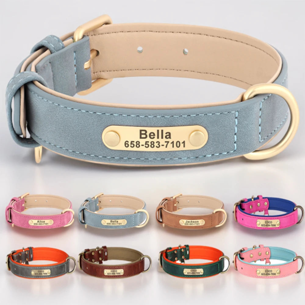 Personalized Leather Dog Collar with Custom Engraved Nameplate - Small, Medium & Large Dogs