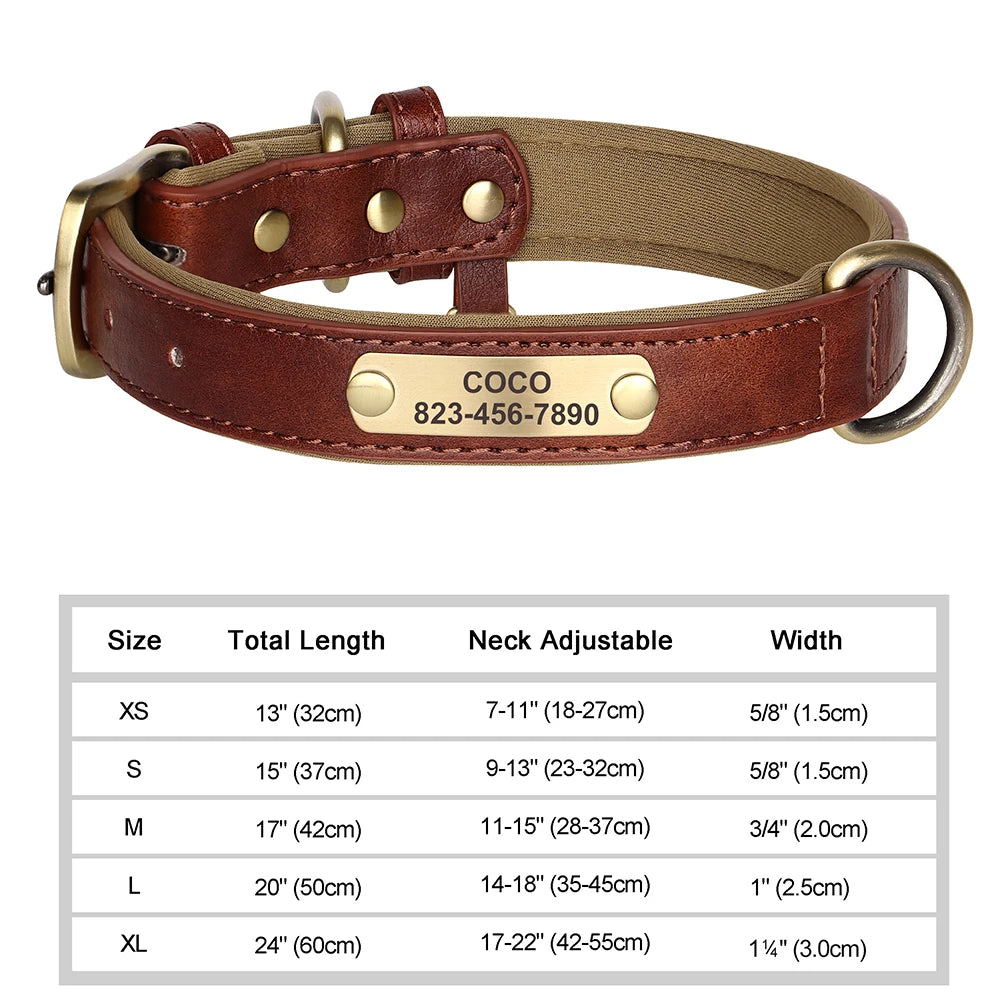 Personalized Leather Dog Collar with Custom Engraved Nameplate - Small, Medium & Large Dogs
