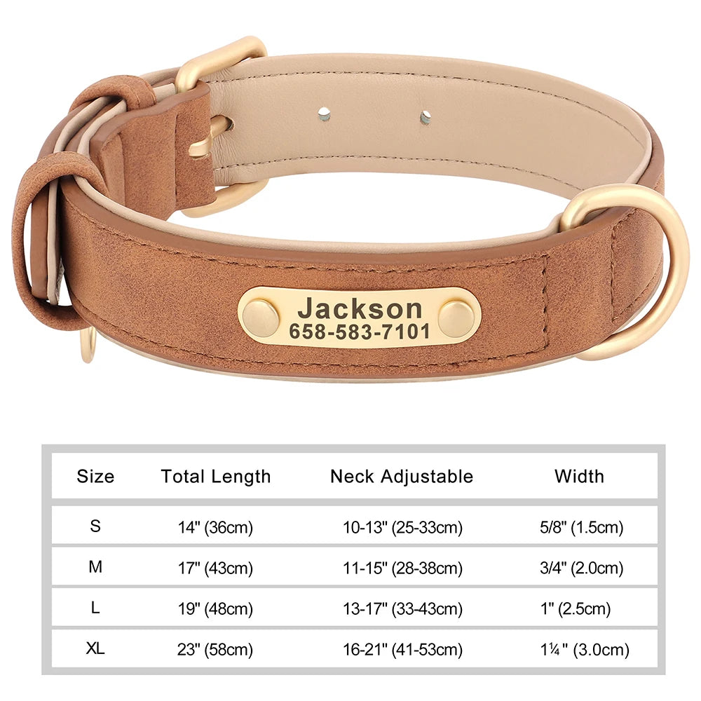 Personalized Leather Dog Collar with Custom Engraved Nameplate - Small, Medium & Large Dogs