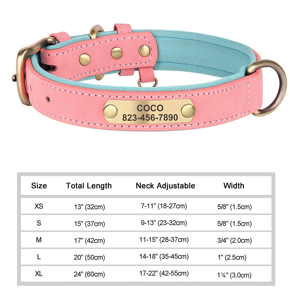 Personalized Leather Dog Collar with Custom Engraved Nameplate - Small, Medium & Large Dogs