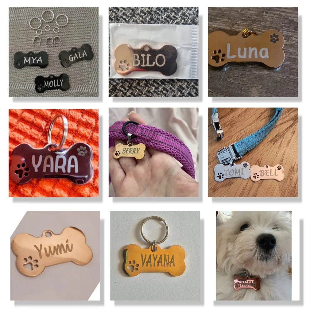 Personalized Pet ID Tag - Custom Engraved Stainless Steel Dog & Cat Name Tag