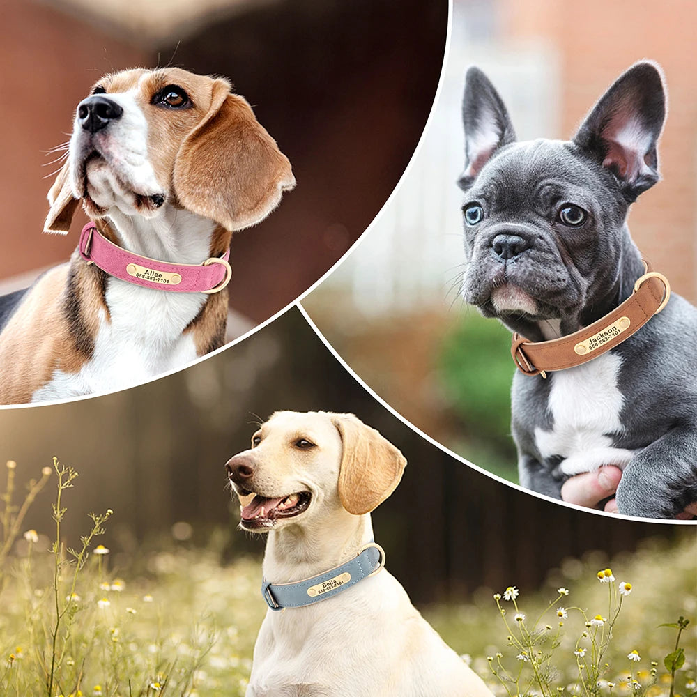 Personalized Leather Dog Collar with Custom Engraved Nameplate - Small, Medium & Large Dogs