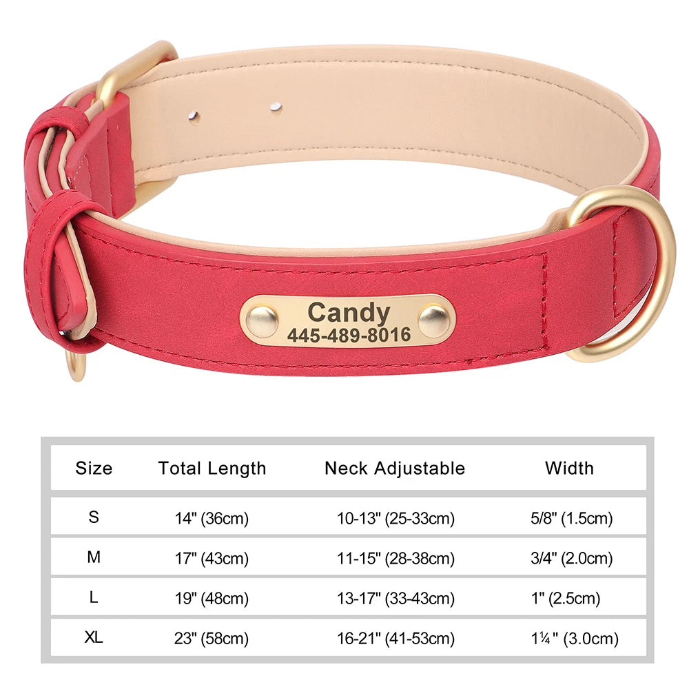 Personalized Leather Dog Collar with Custom Engraved Nameplate - Small, Medium & Large Dogs