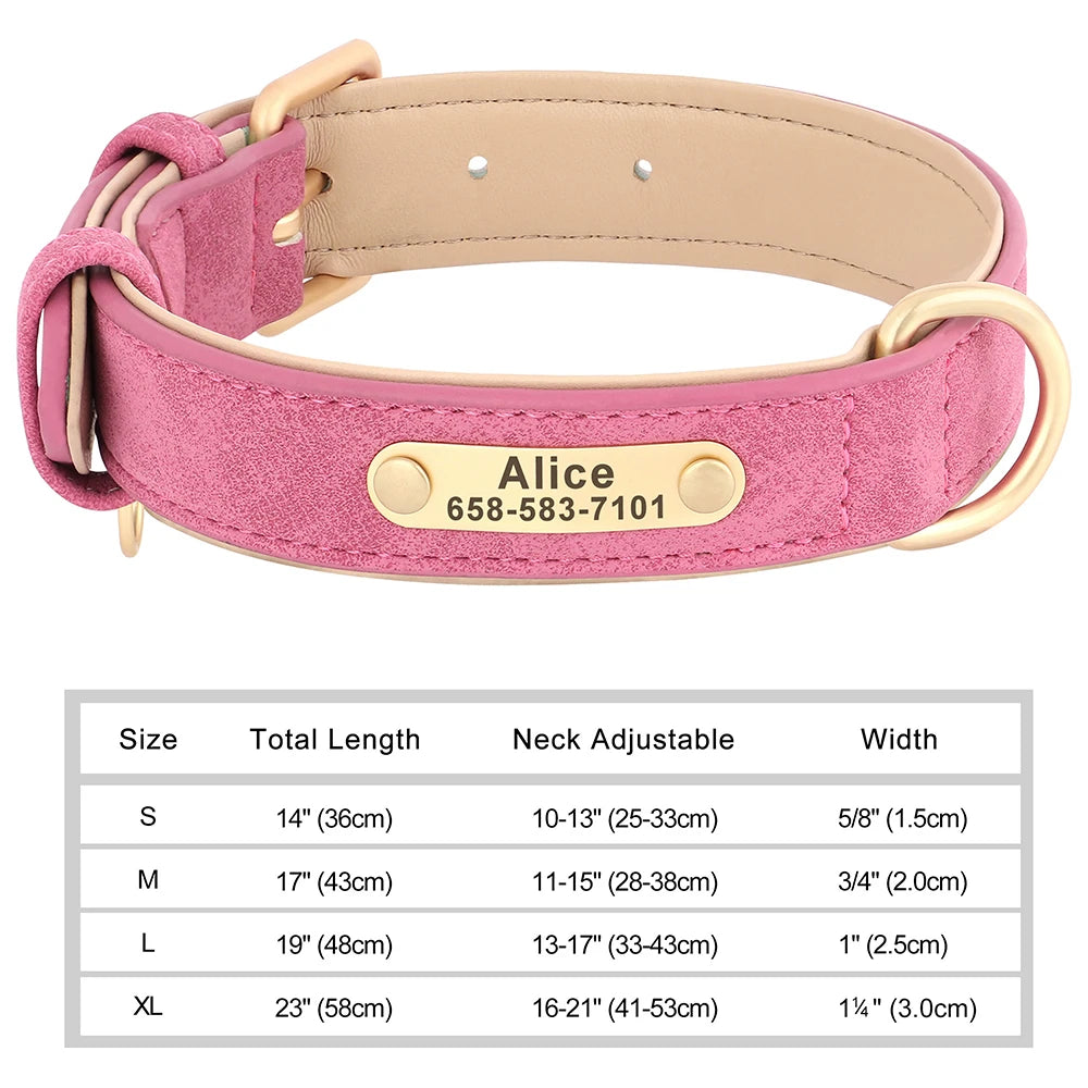 Personalized Leather Dog Collar with Custom Engraved Nameplate - Small, Medium & Large Dogs