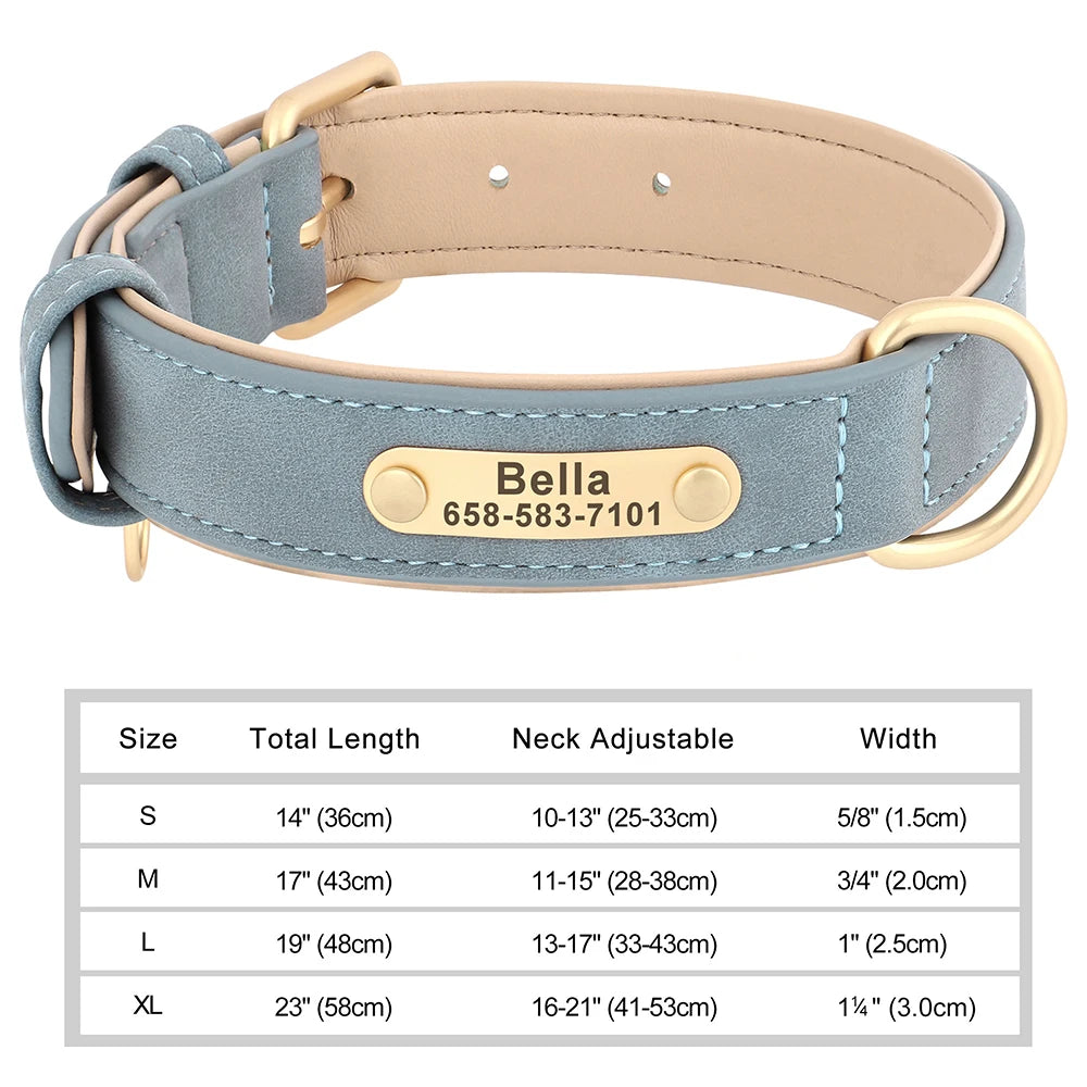 Personalized Leather Dog Collar with Custom Engraved Nameplate - Small, Medium & Large Dogs