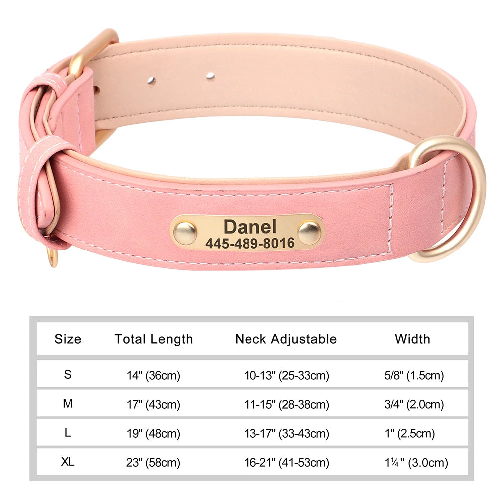 Personalized Leather Dog Collar with Custom Engraved Nameplate - Small, Medium & Large Dogs